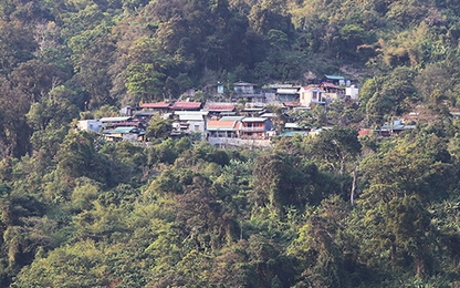 Người Xê Đăng mua ôtô trả bằng sâm Ngọc Linh