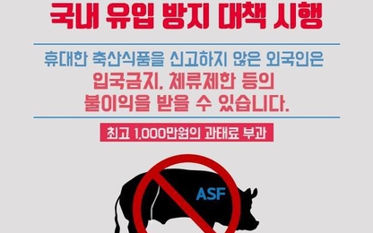 Hàn Quốc áp dụng chính sách ngăn ngừa dịch tả lợn châu Phi