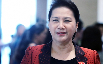 Chủ tịch QH giải thích việc lấy ý kiến 'cấm uống rượu,bia khi lái xe'