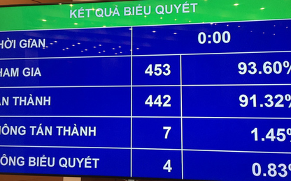 Có thể bị tạm hoãn xuất cảnh nếu chưa hoàn thành nộp thuế