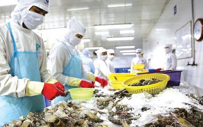 Thuế nhập nhiều mặt hàng từ Nhật, Singapore, Canada về 0%