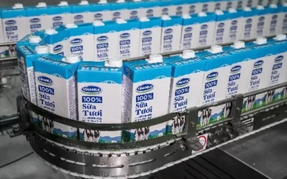 10 thương hiệu dẫn đầu Việt Nam trị giá gần 7 tỷ USD