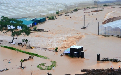 Mưa lũ kinh hoàng chưa từng có, Lâm Đồng thiệt hại hơn 120 tỷ đồng