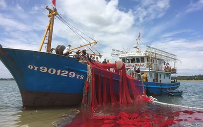 Ngư dân vỡ nợ vì tàu vỏ thép