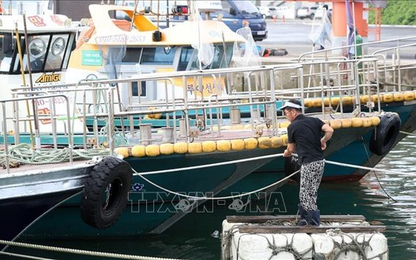 Bão Lingling đổ bộ vào Hàn Quốc gây nhiều thiệt hại