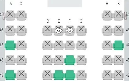 Hãng hàng không Nhật báo trước ghế ngồi cạnh trẻ em