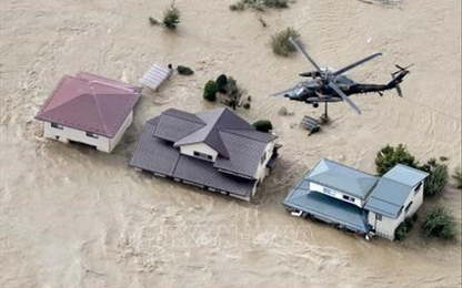 Một thủy thủ Việt Nam trong vụ chìm tàu trên vịnh Tokyo được cứu sống