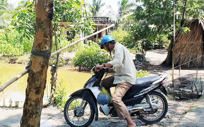 'BOT' nông thôn của bà lão miền Tây