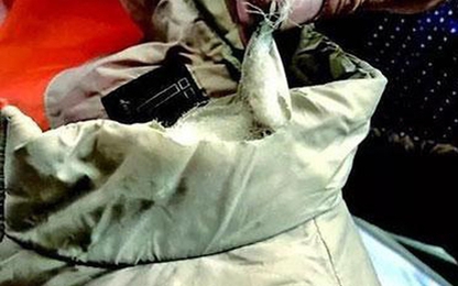 Đạp xe đi dạo trong công viên, hai người phụ nữ bị thương nặng