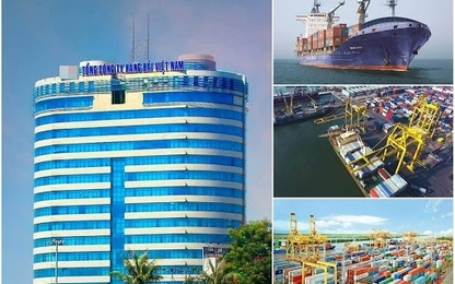 "Siêu Ủy ban" tiếp tục giới hạn vốn đầu tư của Vinalines năm 2020