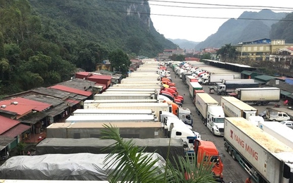 Các cửa khẩu lại tồn ứ gần 780 xe nông sản, trái cây