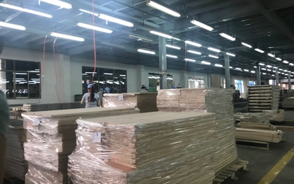 TPHCM thu ngân sách 6 tháng năm 2018 ước đạt hơn 183.400 tỷ đồng