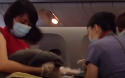 Đỡ đẻ thành công một bé gái trên máy bay