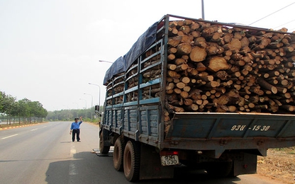 Cục Quản lý đường bộ IV siết chặt quản lý tải trọng xe