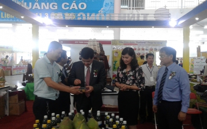 Gần 200 DN tham gia Hội chợ Quốc tế Thương mại-Du lịch Đà Nẵng
