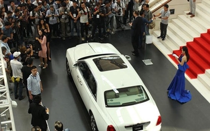 Doanh nghiệp nhập ô tô kêu khổ vì bị truy thu thuế