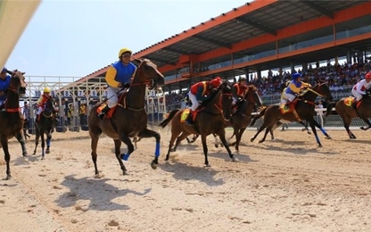 Trải nghiệm trường đua ngựa đầu tiên của Việt Nam