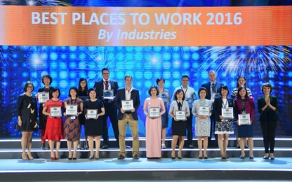 Viettel được xem có môi trường làm việc tốt nhất ngành công nghệ Việt Nam