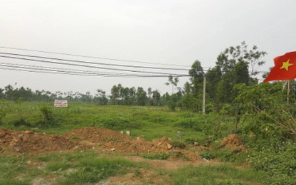 Đất sân bay Miếu Môn qua 37 năm