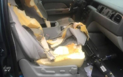 Đỗ xe bên đường, ôtô bị gấu phá tan nội thất