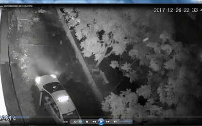 Clip: Tài xế taxi trèo tường "cầm hộ" giò phong lan 10 triệu đồng