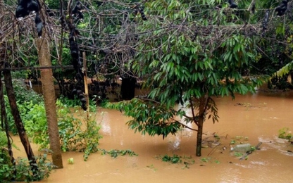 Gia Lai: Mưa lớn kéo dài nhiều nhà dân thiệt hại do lũ cục bộ