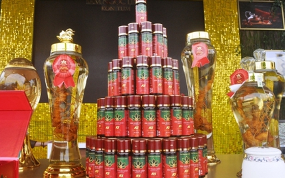 Sản phẩm từ Quốc Bảo Sâm Ngọc Linh "du xuân" Đà Nẵng