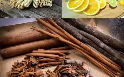 Tất tần tật mẹo khử các loại mùi hôi trên ô tô