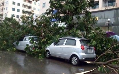 Mùa mưa, đỗ xe ô tô cần tránh những vị trí nào?