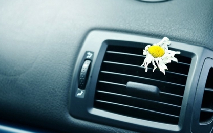 Tại sao chúng ta nên bật điều hòa vào mùa đông?