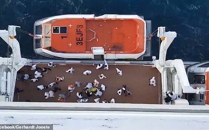 Giải cứu khách nhảy xuống biển