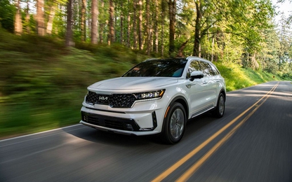 Sau Sorento, Kia Việt Nam tiếp tục tăng giá nhiều mẫu xe khác