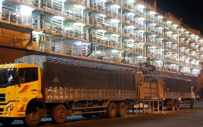 Khởi công cầu cảng gần 1000 tỷ đồng