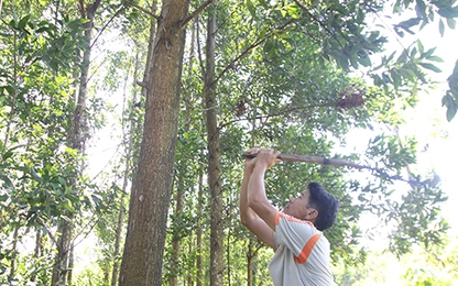 Người đàn ông 10 năm cho nông dân vay tiền tỷ không tính lãi