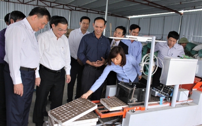 Bộ trưởng Bộ KH&CN Chu Ngọc Anh làm việc với tỉnh Hải Dương