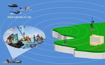 Công ước SAR 79 với tàu cá đánh bắt xa bờ