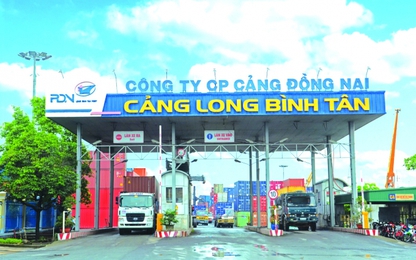 CTCP cảng Đồng Nai: Bước chuyển mình hội nhập và phát triển