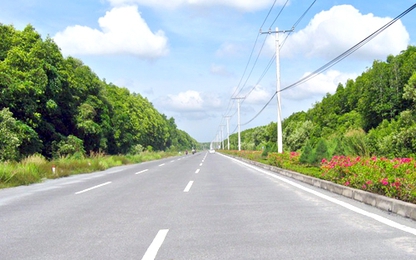 TP.HCM làm đường xuyên rừng ngập mặn Cần Giờ