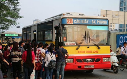 Cấp phép cho ô tô nhà ở lưu động: DN còn nhiều băn khoăn