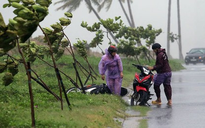 Hàng chục chuyến bay bị hủy do bão