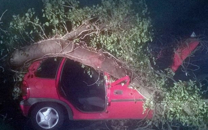 Anh: Bão lớn đổ bộ khiến giao thông tê liệt