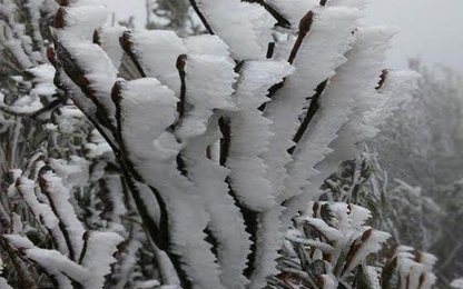 Hình ảnh băng tuyết phủ trắng vùng núi phía Bắc