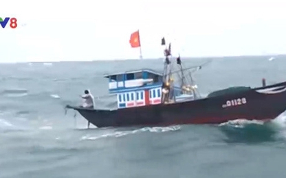 Quảng Nam cứu thành công tàu cá gặp nạn trên biển