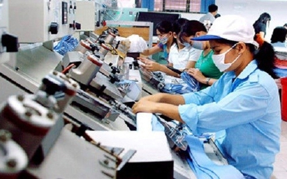 Chỉ cho phép kiểm tra các doanh nghiệp một lần/năm