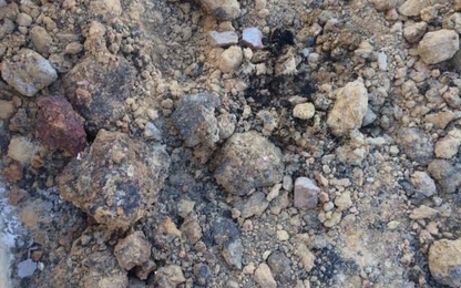 Phát hiện chất thải nghi của Formosa ở công viên công ty Môi trường