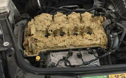 Nữ tài xế đổ 5 lít nước rửa kính vào động cơ