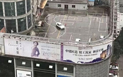 Không đeo rọ mõm cho chó bị phạt đến 800 ngàn đồng