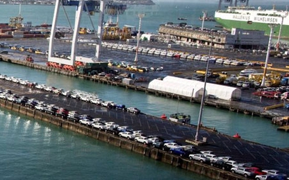 New Zealand ngừng nhập ôtô từ Nhật vì bọ xít