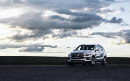 Hải quan Trung Quốc chặn nhiều lô xe Mercedes, BMW nhập khẩu