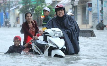 Sài Gòn mưa như trút nước, cây đổ đè người tử vong